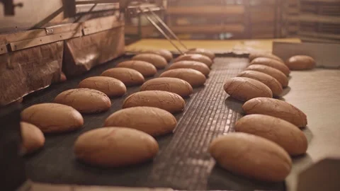 Loaves of bread on a production line in a bakery.  Vidéo 199377762