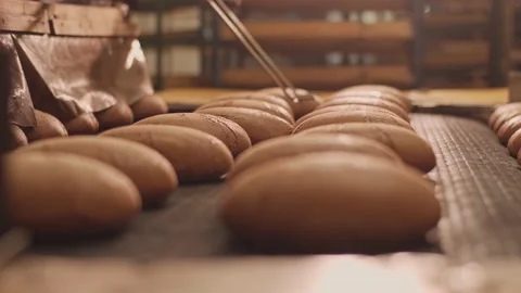 Loaves of bread on a production line in a bakery. 库存影片 199377786