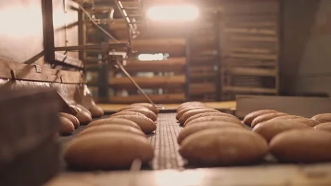 Loaves of bread on a production line in a bakery.  Vidéo 199378326