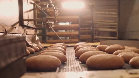 Loaves of bread on a production line in a bakery.  Vidéo 199378725