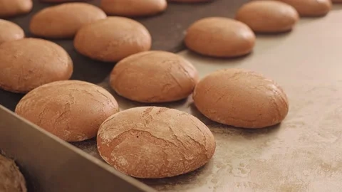 Loaves of bread on a production line in a bakery.  Vidéo 199378979
