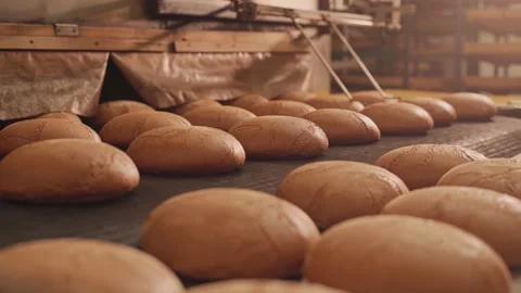 Loaves of bread on a production line in a bakery.  Vidéo 199379038