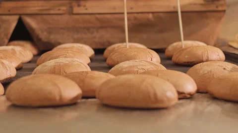 Loaves of bread on a production line in a bakery. Vidéo 199379434