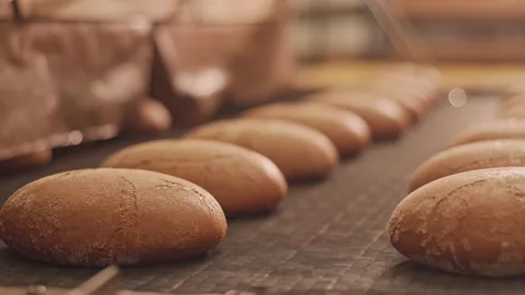 Loaves of bread on a production line in a bakery Vidéo 199379719