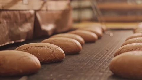 Loaves of bread on a production line in a bakery.  Vidéo 199380009