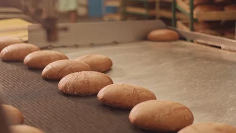 Loaves of bread on a production line in a bakery.  Vídeo Stock 199380118