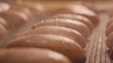 Loaves of bread on a production line in a bakery. Vidéo 199381003