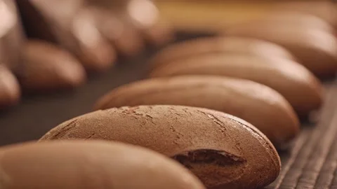 Loaves of bread on a production line in a bakery. Vidéo 199381284