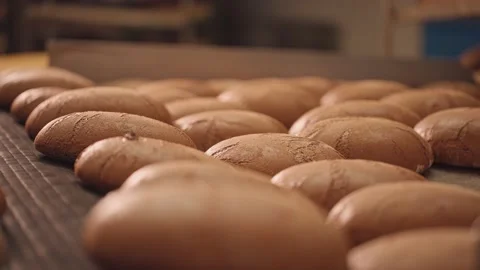 Loaves of bread on a production line in a bakery. 库存影片 199381782