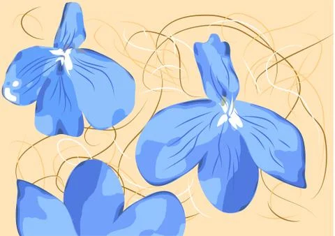 Lobelia Stock Illustration