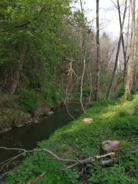 LOBENBACH   this  RILL Stock Photos