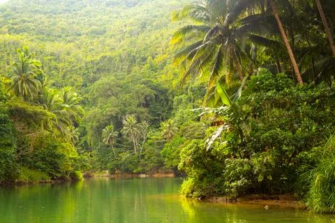 The Loboc River also called Loay River is a river in the Bohol, the Philippin Stock Photos