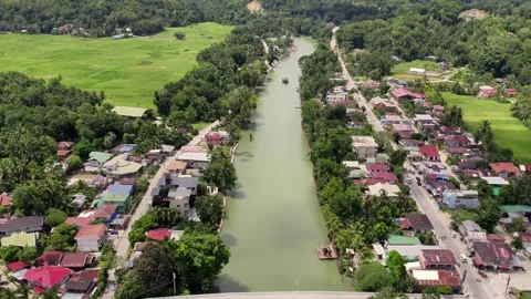 Loboc River, Bohol 動画素材 317978118