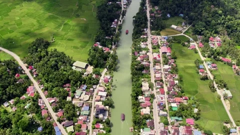 Loboc River, Bohol 動画素材 317978128