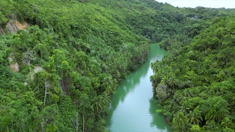 Loboc River Bohol. Philippines . Drone Stock Footage 266136589