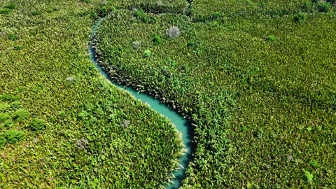 Loboc River High Angle Drone, Bohol Philippines – 4K Aerial Stock Footage 328394023
