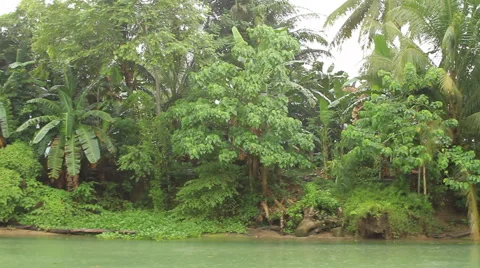 Loboc River in the Philippines Stock Footage 43669525