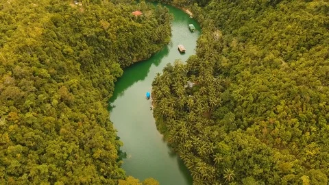 Loboc river in the rainforest Philippines, Bohol Stock Footage 75554113