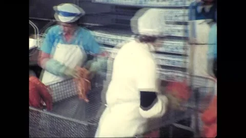 Lobster and Crayfish Processed at Australian Factory, 1978 Видео 339869202