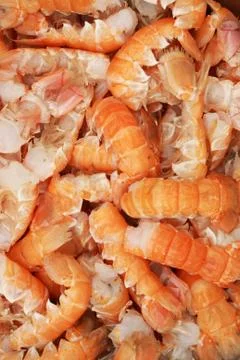 Lobster background Stock Photos