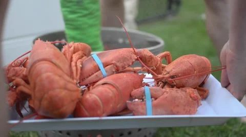 Lobster being put on a serving tray. Stock Footage 62506547