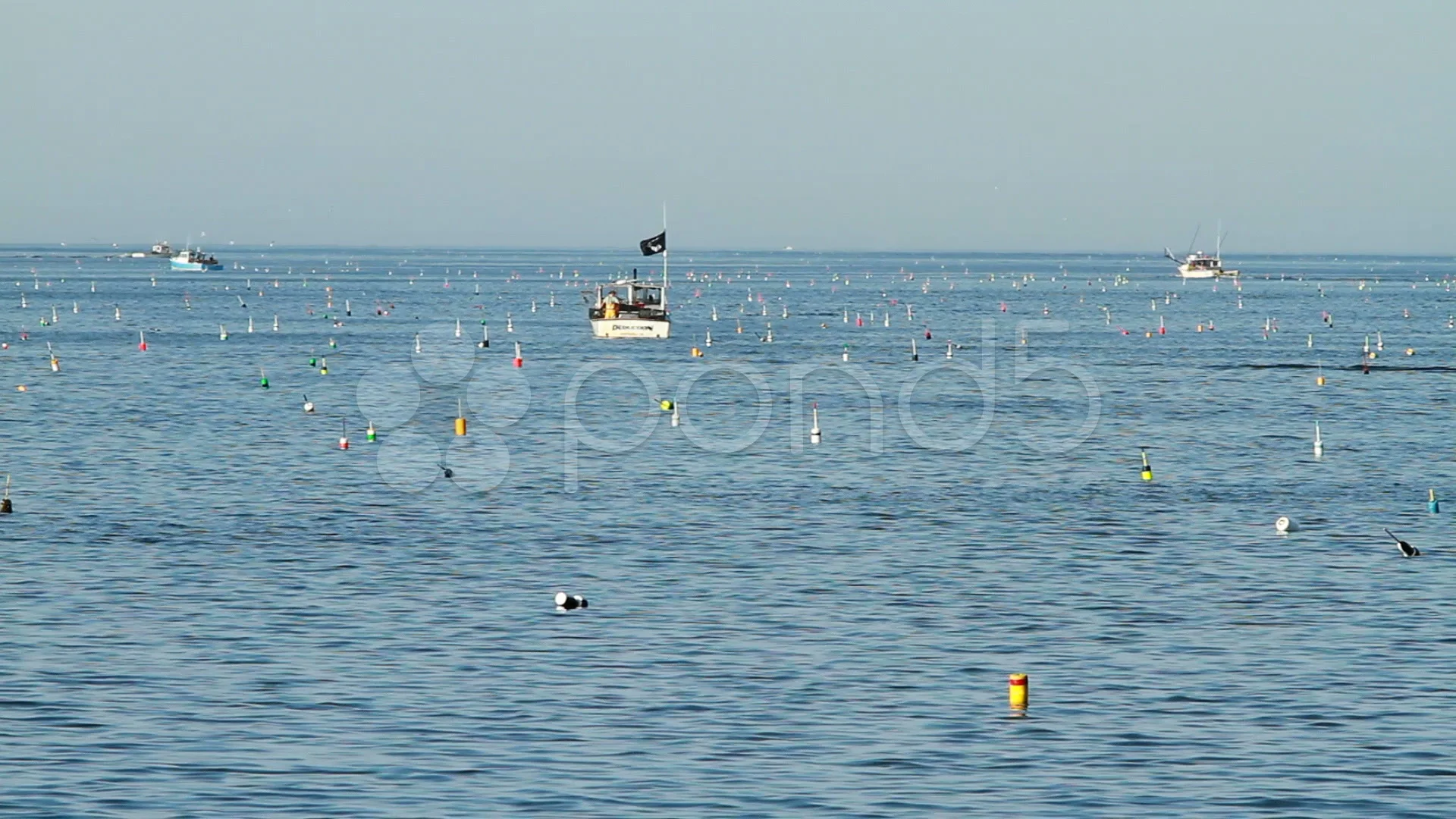 Lobster Boats and Buoys in Maine, Stock Video