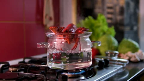 Lobster boiling pot being cooked in a pot on stove Stock Footage 305906538