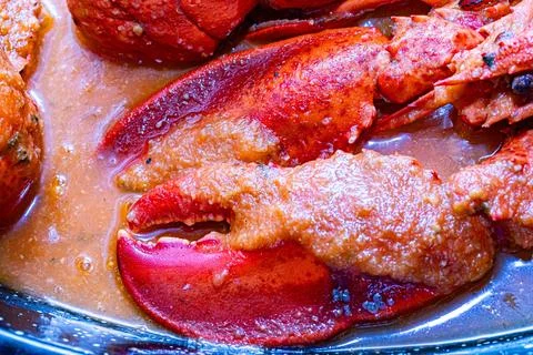 Lobster claws and shellfish in sauce on a serving dish Stock Photos