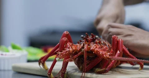 Lobster cleaning in Kitchen Vídeo Stock 287970039