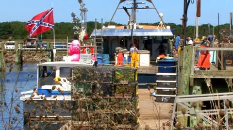 Lobster Crew Cleaning; 2 Stock Footage 8922006
