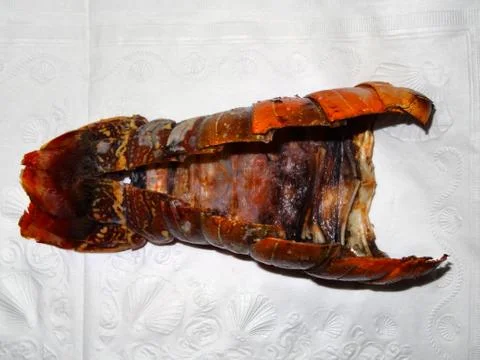 Lobster dinner Stock Photos
