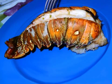 Lobster dinner Stock Photos