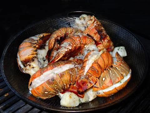 Lobster dinner Stock Photos