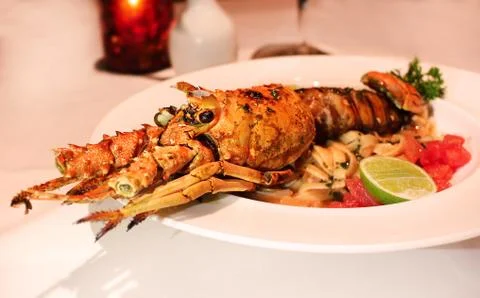 Lobster Dinner Stock Photos