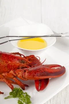 Lobster dish with dip Stock Photos