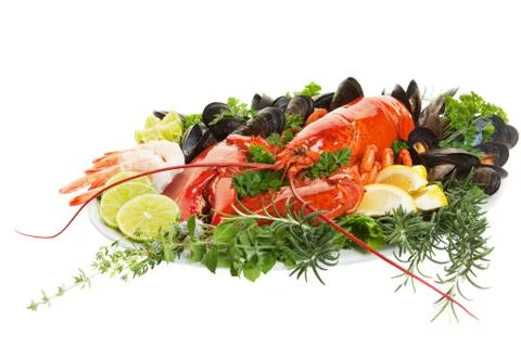 Lobster dish Stock Photos