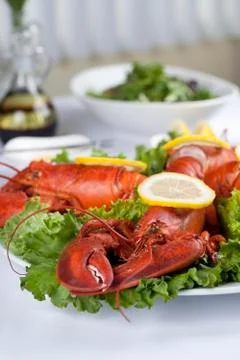 Lobster dish Stock Photos
