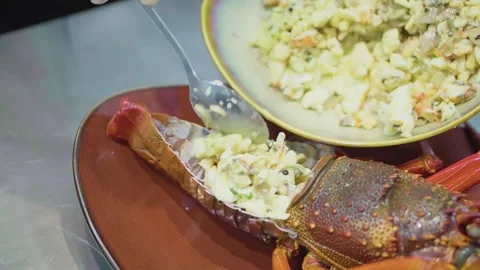 Lobster Filling Stock-Footage 288231206
