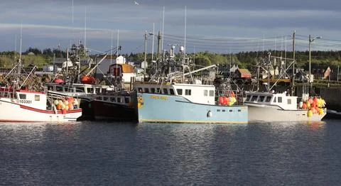 Lobster fleet Stock Photos