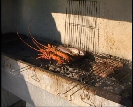 Lobster on grill Stock Footage 377612