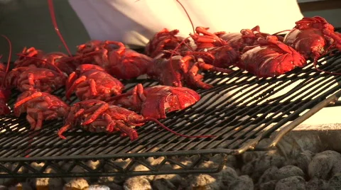 Lobster Grill Stock Footage 755329