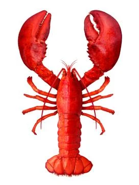 Lobster Isolated Ilustración de archivo
