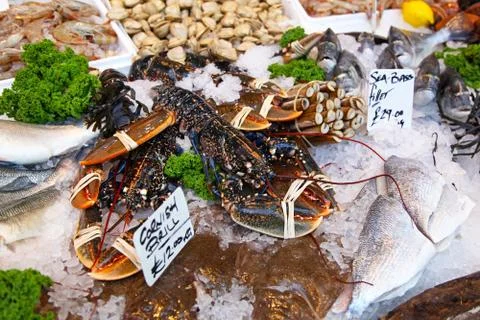 Lobster Stock Photos