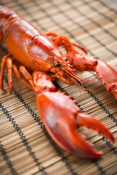Lobster Stock Photos