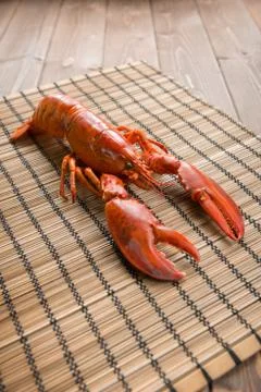 Lobster Stock Photos