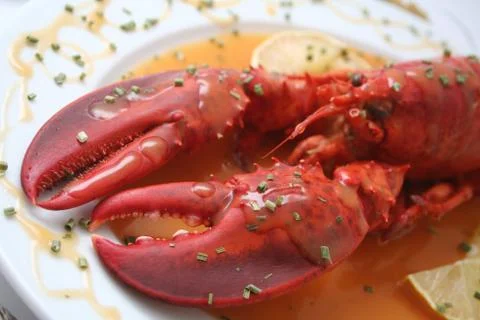 Lobster Stock Photos