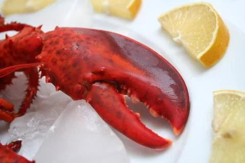A lobster Stock Photos