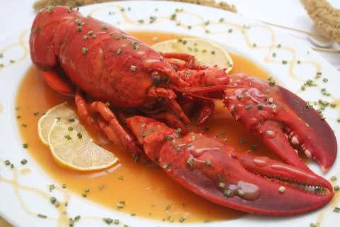 A lobster Foto stock