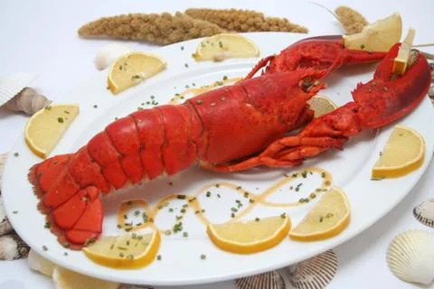 A lobster Stock Photos