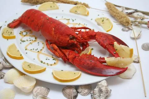 Lobster Stock Photos